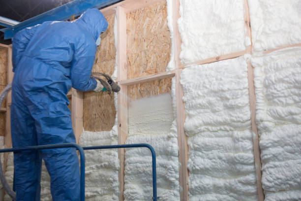 Best Eco-Friendly Insulation Solutions  in Farmingdale, NJ